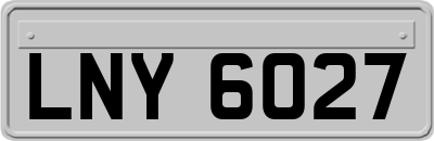 LNY6027