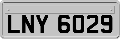 LNY6029