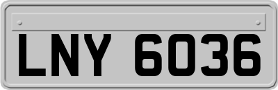 LNY6036