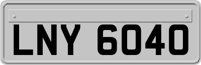 LNY6040