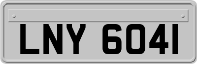 LNY6041