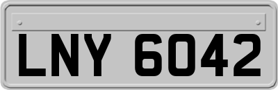 LNY6042