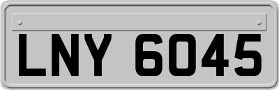 LNY6045