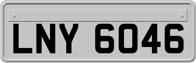 LNY6046