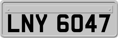 LNY6047
