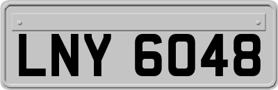 LNY6048