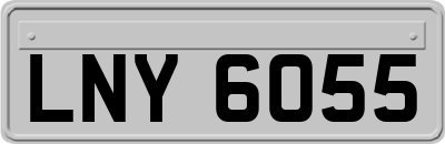 LNY6055