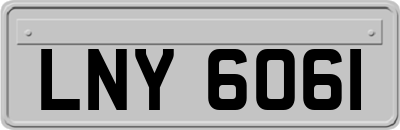 LNY6061