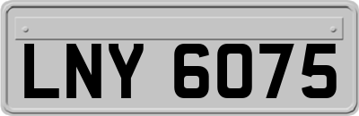 LNY6075