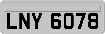 LNY6078