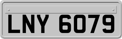 LNY6079