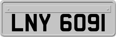 LNY6091