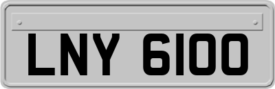 LNY6100