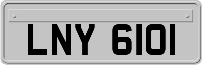 LNY6101