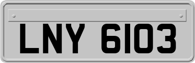 LNY6103