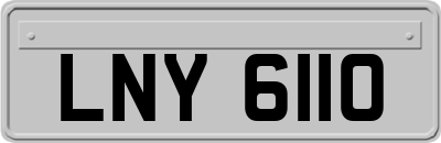 LNY6110