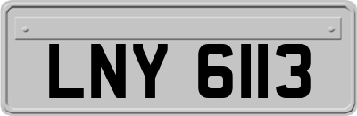 LNY6113