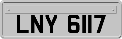 LNY6117