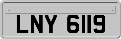 LNY6119