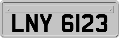 LNY6123