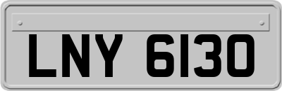 LNY6130