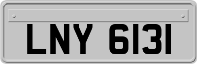 LNY6131