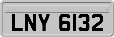 LNY6132