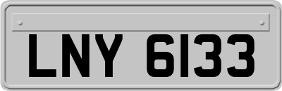 LNY6133