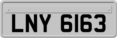 LNY6163