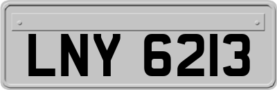LNY6213