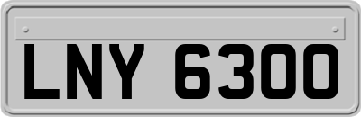LNY6300