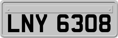 LNY6308