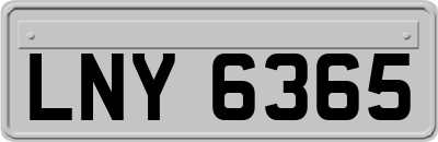 LNY6365