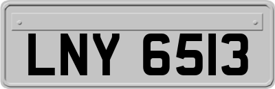 LNY6513