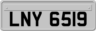 LNY6519
