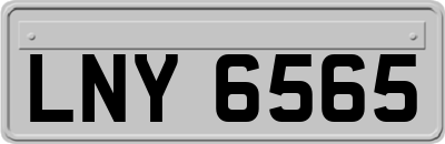 LNY6565
