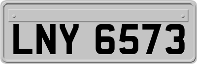LNY6573