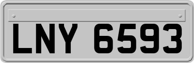 LNY6593