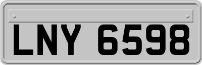LNY6598