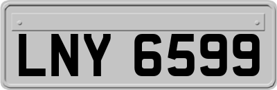 LNY6599