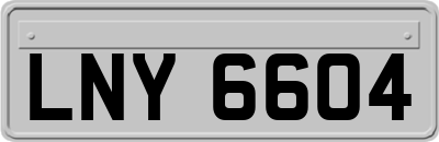 LNY6604