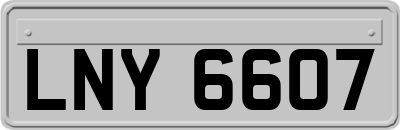 LNY6607