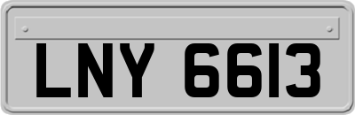 LNY6613