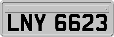 LNY6623