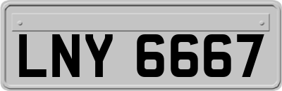 LNY6667