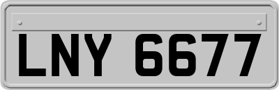 LNY6677