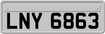 LNY6863