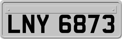 LNY6873
