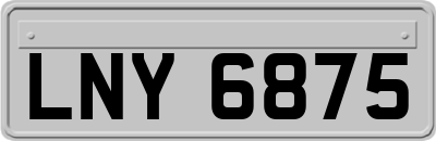 LNY6875