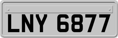 LNY6877